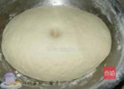 扫帚菜肉包的做法图解6