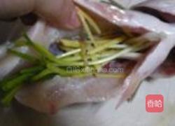 清蒸桂鱼的做法图解3
