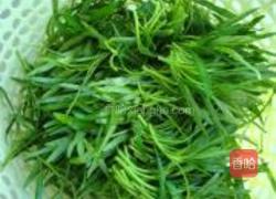 蒜蓉空心菜苗的做法图解1