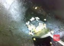 虫草银芽炒粉丝的做法图解6