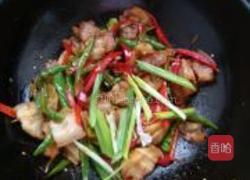 农家小炒肉的做法图解10