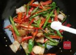 农家小炒肉的做法图解7