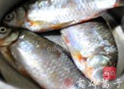 岩葱鲫鱼汤的做法图解1