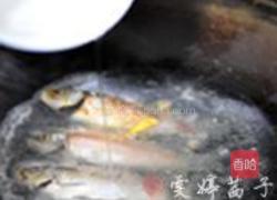 岩葱鲫鱼汤的做法图解3