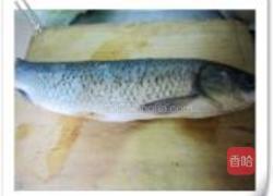 煎鱼饼的做法图解1