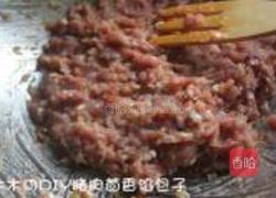 猪肉茴香馅包子的做法图解1