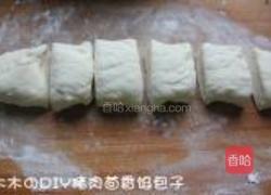 猪肉茴香馅包子的做法图解4