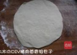 猪肉茴香馅包子的做法图解5