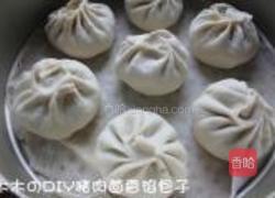 猪肉茴香馅包子的做法图解8