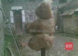 驿前肉丸的做法图解7