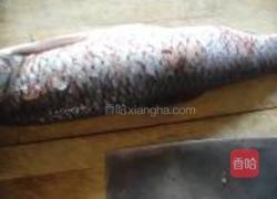 草鱼炖豆腐的做法图解1