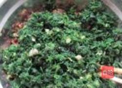 蒸荠菜鲜肉馄饨的做法图解4