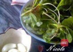 蒜蓉苋菜的做法图解1
