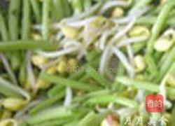 筒篙炒豆芽的做法图解5