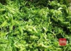 茴香猪肉饺的做法图解3