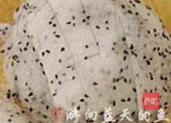 金针菇&火龙果的做法图解3