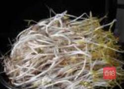 砂锅生绿豆芽的做法图解13