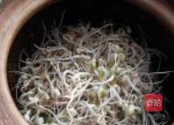 砂锅生绿豆芽的做法图解7