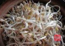 砂锅生绿豆芽的做法图解9