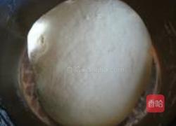 兔肉水饺的做法图解11