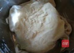 兔肉水饺的做法图解12