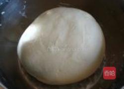 兔肉水饺的做法图解13