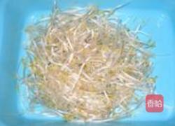 油泼豆莛的做法图解1