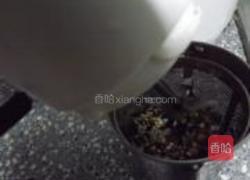 杂粮米糊的做法图解5