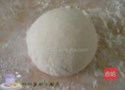 西红柿鸡蛋饺的做法图解12