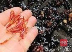 麻婆萝卜丁的做法图解15