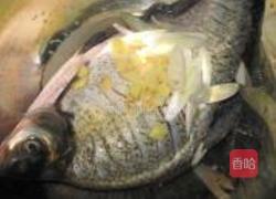 清蒸鳊鱼的做法图解2