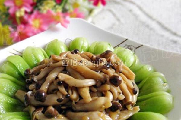 蟹味菇炒小油菜