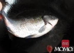 红豆鲫鱼汤的做法图解4
