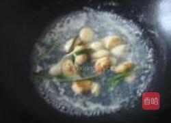 青蛾焖木瓜的做法图解5