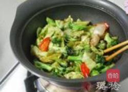 干锅海虾蔬菜煲的做法图解19