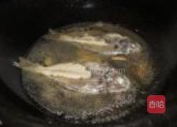 清煮刀鲳鱼的做法图解4