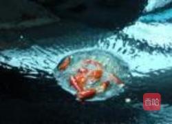 佛水瓜炒肉片的做法图解6