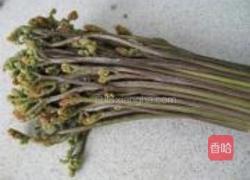 拌蕨菜的做法图解1