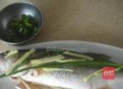 蒸鲈鱼的做法图解3