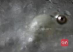 琥珀鸡蛋的做法图解1