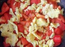 鱼香番茄炒蛋的做法图解10