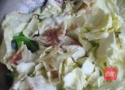 手撕包菜的做法图解7