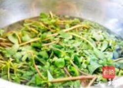 蒜茸马齿苋的做法图解1