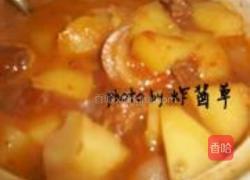 啤酒茄汁焖牛腩的做法图解14