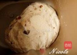 红糖核桃提子包的做法图解10