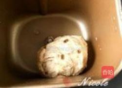 红糖核桃提子包的做法图解8