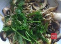 腌蘑菇的做法图解5