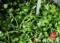 蚝油草头的做法图解1