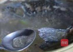 沙锅鲫鱼蚕豆汤的做法图解5