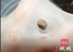 双花土司的做法图解19